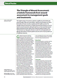 A holistic framework from wound assessment to management goals and treatments